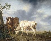 Jan Kobell Oxen in the meadow Spain oil painting artist